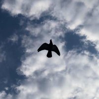 lُujain☁️✨ (@lujainsami122) Twitter profile photo