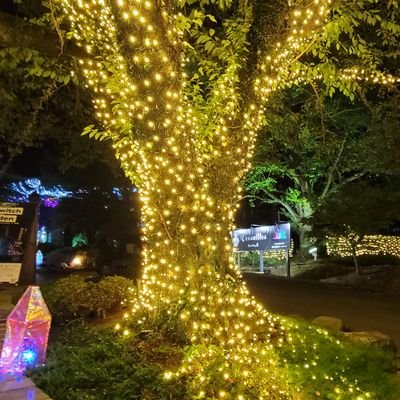 せい。さんのプロフィール画像