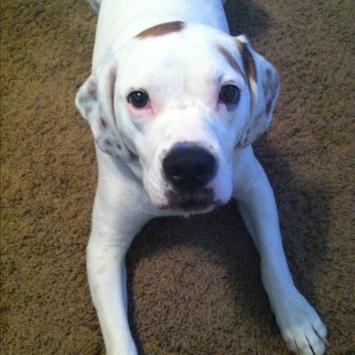 jenrdh09's profile picture. 