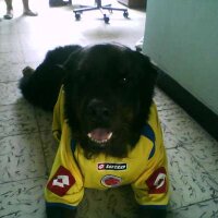 Jair Andrade (@jandraor) 's Twitter Profile Photo Jair Andrade (@jandraor) 's Twitter Profile Photo