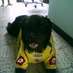 Jair Andrade (@jandraor) Twitter profile photo Jair Andrade (@jandraor) Twitter profile photo