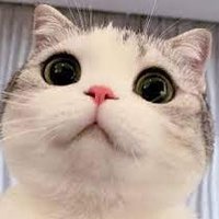 ZACK (@zack7216) 's Twitter Profile