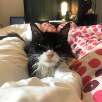 Dym (@dymouille) 's Twitter Profile