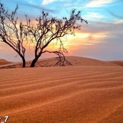 salehal989's profile picture. 