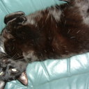 Barbara Barry - @hasnohols - Twitter