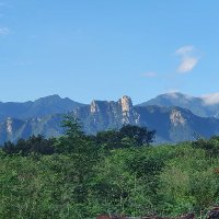 임세옥 (@imse_og) 's Twitter Profile