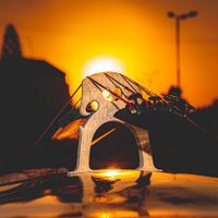 Jeanice Downton 🍇 (@downtonjeanice) 's Twitter Profile