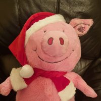 Kath WU (@kwpiggy8) 's Twitter Profile Photo Kath WU (@kwpiggy8) 's Twitter Profile Photo