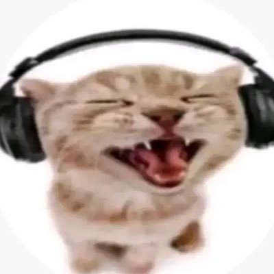 current interests: paul dano, james spader, sxf, pantheon, the bear, severance, frieren, the pitt, tlou, superman, the americans, music/films in general