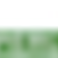 svdinxperlo (@svdinxperlo) 's Twitter Profile