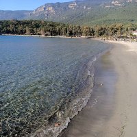 Tek Erkek Sek Erkek Mugla (@48tekerkekmugla) Twitter profile photo