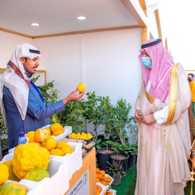 3le9Ali's profile picture. مزارع ونحال وصديق للبيئة ج/ ( مشتل برتقالة حائل ) 0546500020 واتس https://t.co/NdRuenRbMj