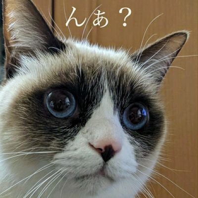 ほんたうのさいはひを求めて…