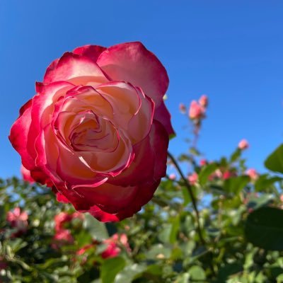 まーさんのプロフィール画像