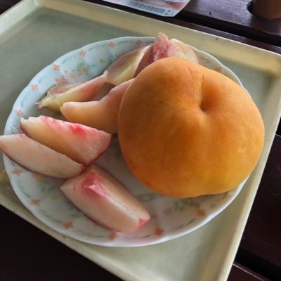 宜しく