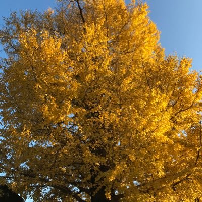 Sy0peB2JI20BBSN's profile picture. 