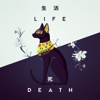 masgatosno's profile picture. Los gatos nunca han olvidado que en la antigüedad fueron dioses. Siguen reinando, en las sombras y a plena luz del día.