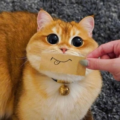 nasibhidup's profile picture. 