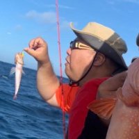 小物オヤジ《呟き垢》 (@jcw_okinawa) 's Twitter Profile