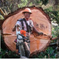 Logger Pride (@loggerpride) 's Twitter Profile