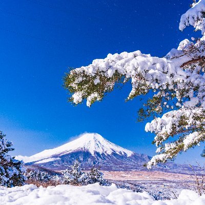 懸賞🎁始めました✨本📕*温泉♨*旅行✈*沖縄🏖*御朱印⛩*写真📸美味しいもの・お料理も大好き❤趣味・懸賞仲間さん募集中✨無言フォロー失礼します。よろしくお願いします😊
