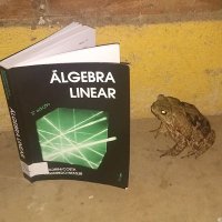autossapo (@eigentoad) 's Twitter Profile