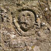 giantmargutte's profile picture. 