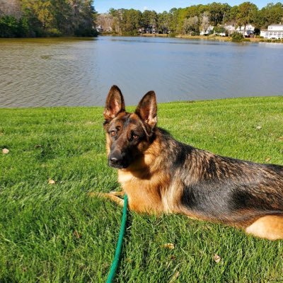 hurdy9's profile picture. Proud Father & Grandfather.  Dis-liker of self-righteous and hypocrites