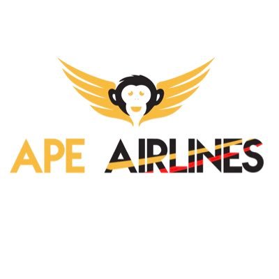 The First Airlines of the Metaverse✈️👨🏽✈️🧑🏼✈️👩🏻✈️Taking Flight in 2022 Date TBA🛩 Launching Discord beginning of Feb🗓