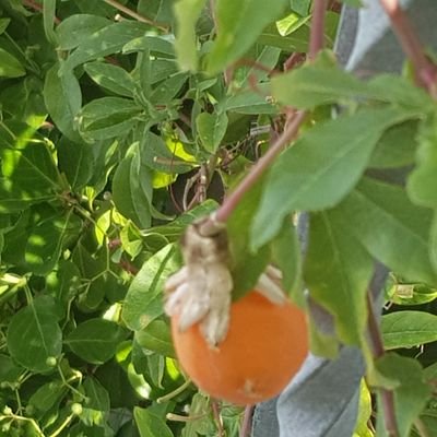 m_salobir's profile picture. 