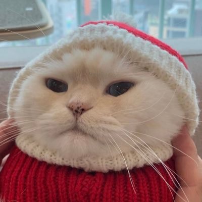 karnnsrk's profile picture. ทุกเรื่องเป็นเรื่องดีๆ ทวิตใหม่อันที่ร้อย