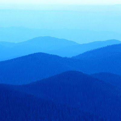 AndersonMunera2's profile picture. 