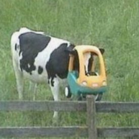 SinisterFetRBLX's profile picture. fet!!!!!!

i love cypherize shoutout cypherize in my banner i love cypherize