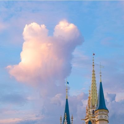 blqp5yb7's profile picture. #動物はモノじゃない #犬猫肉食即時廃止 #殺処分廃止 #工場畜産廃止＃動物実験廃止#繁殖禁止 #動物虐待厳罰化 #生体販売禁止  #脱動物搾取 #動物利用❌

 🐱２匹🐶1匹と共に👫暮らしてﾏｽ🐱13才肝臓 腫瘍ｶﾙﾁﾉｲﾄﾞ🐈2022.08.29ありがと。永遠に愛してる👼動物の為ﾀﾞｹに登録してﾏｽ