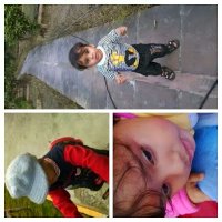 Pratibha Singh (@pratibh23168741) 's Twitter Profile