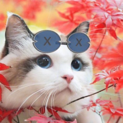 つー@Web3/Node🔥 Profile