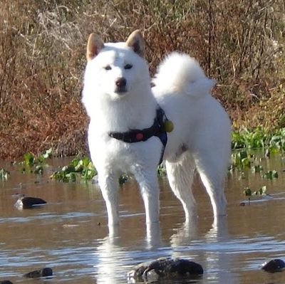 ASO_mkt's profile picture. I am a rock. I am an island.