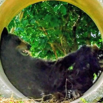 ギーさんのプロフィール画像