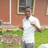 NIBI82335222's profile picture. Cryptocurrency