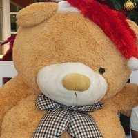 Mrs.SK_Shanjeevan (@rowdygk) 's Twitter Profile