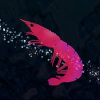 ミモエビ丸🦐ボカロP (@mimoebimaru) 's Twitter Profile Photo ミモエビ丸🦐ボカロP (@mimoebimaru) 's Twitter Profile Photo