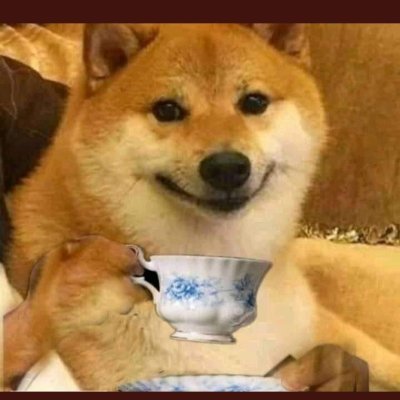 hakuna_mtata_9's profile picture. 