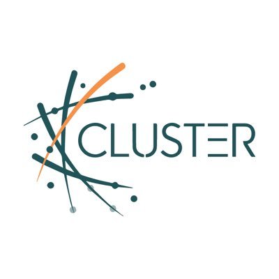 Cluster is a multinational professional services network of firms, operating as partnerships under the Cluster brand.