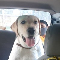 Vin (@_vinylic_) 's Twitter Profile