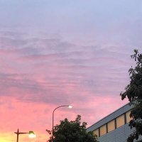 ray_Tomoko🍏 (@ray_maria) 's Twitter Profile