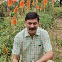 Yashwant (@yashwan78793862) 's Twitter Profile