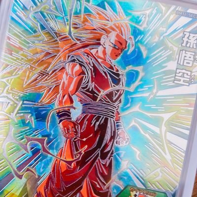 shuka_mct's profile picture. / DRAGON BALL🐉/ SDBH / DBSDV / Pokemon /