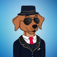 Caviar N’ Canines (@caviarncanines) 's Twitter Profile