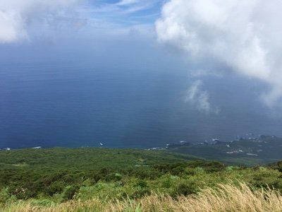 日々だらっとゆるっと