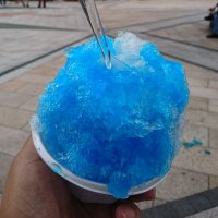 蒼砂糖 (@bluewhale_isana) Twitter profile photo